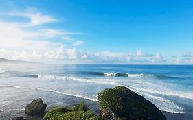 Little Diamond, Wooden Jungle House. Bathsheba.